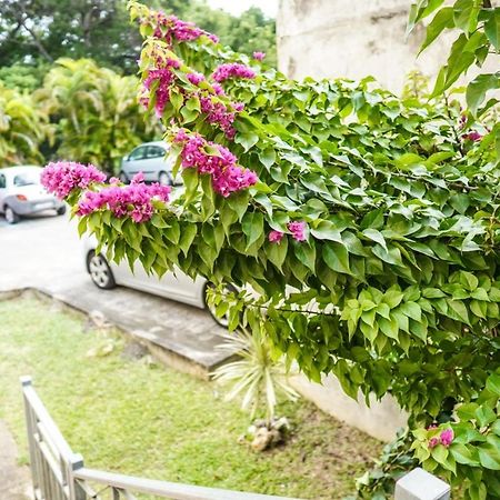 Color Garden - Studio Martinique Sainte-Anne Exterior foto