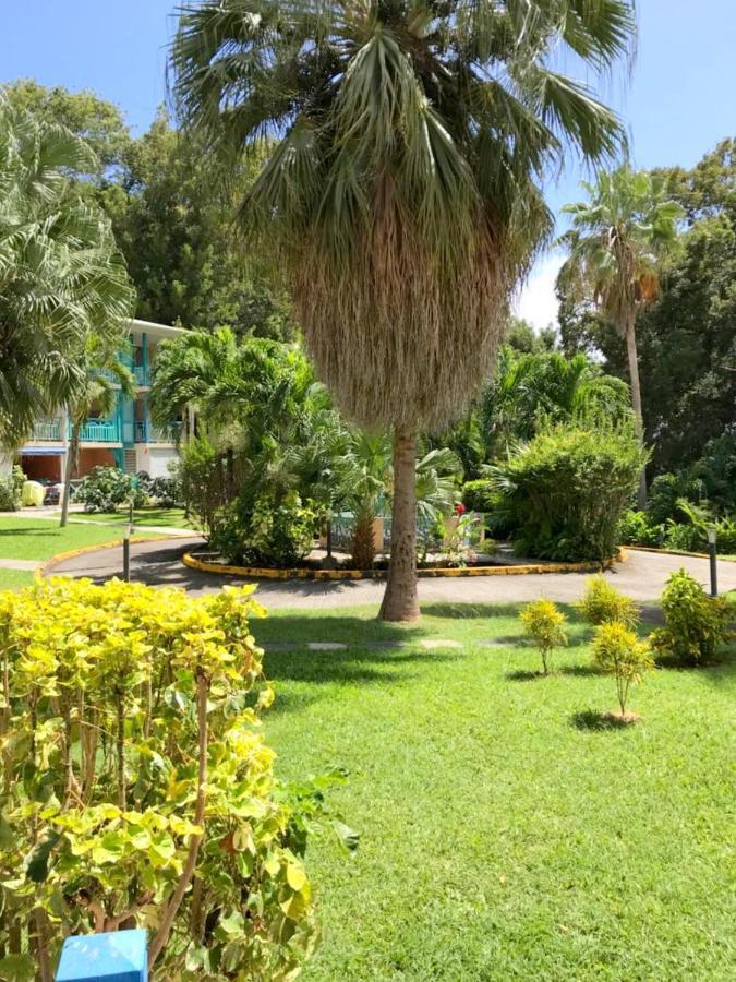 Color Garden - Studio Martinique Sainte-Anne Exterior foto