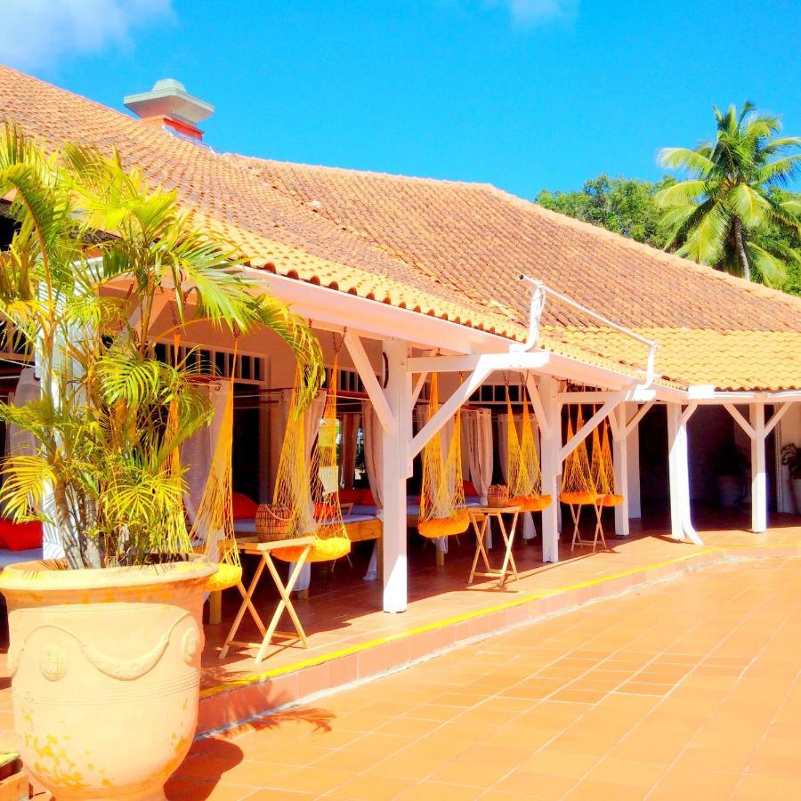 Color Garden - Studio Martinique Sainte-Anne Exterior foto
