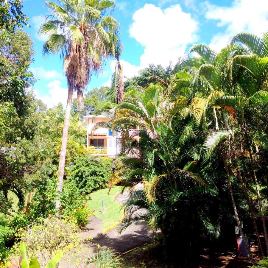 Color Garden - Studio Martinique Sainte-Anne Exterior foto